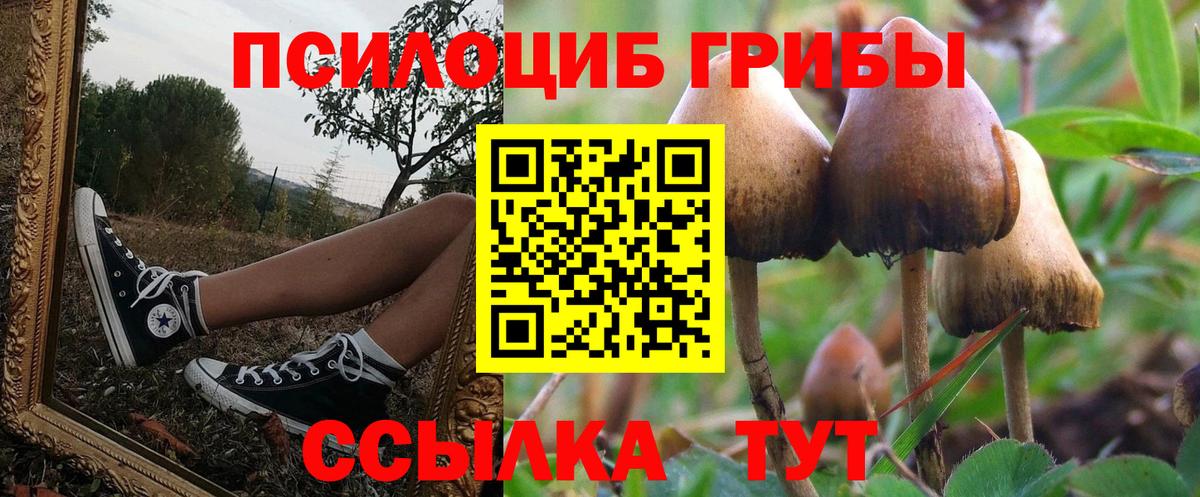 Отрадный  Псилоцибиновые грибы Psilocybe  купить   Вход с VPN 