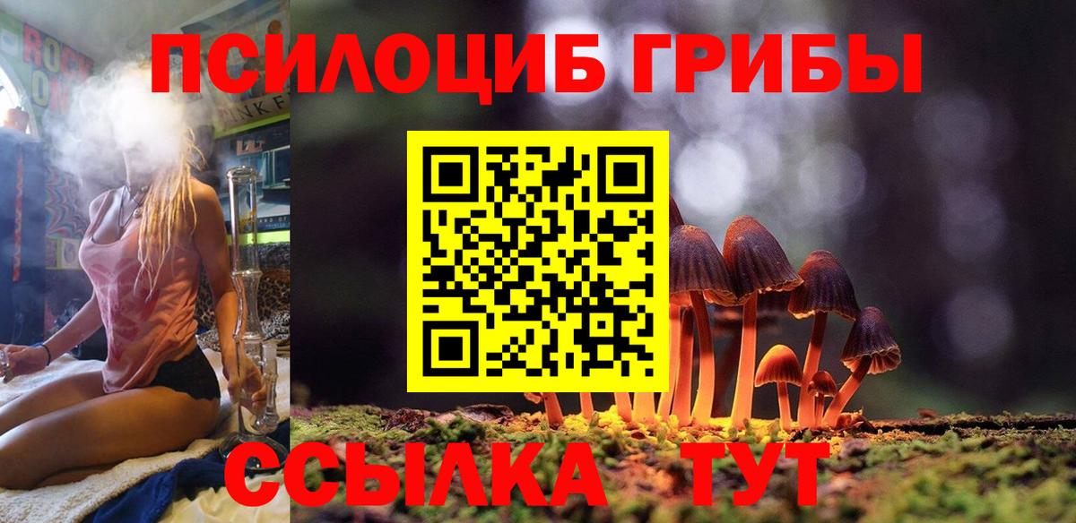 Галлюциногенные грибы Psilocybe Отрадный