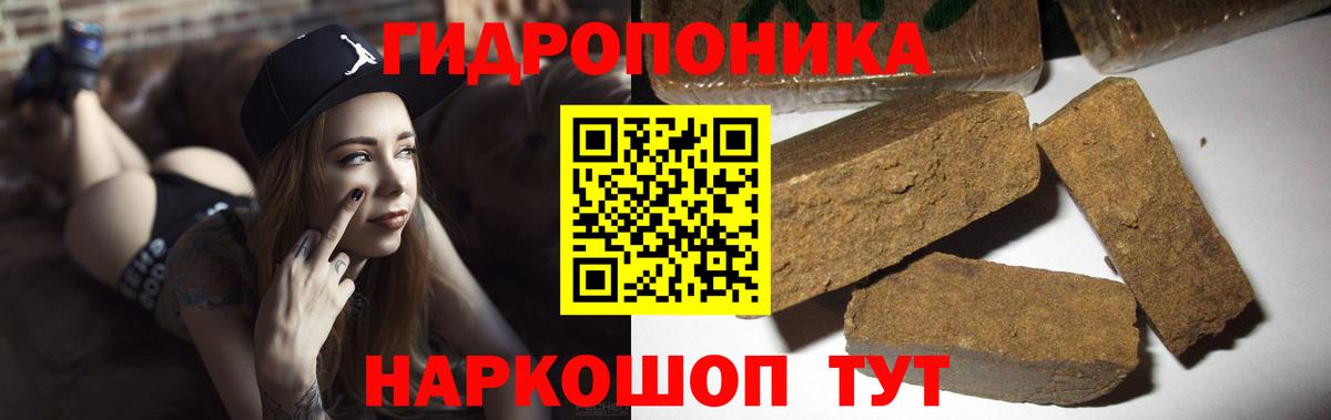 Канабис AK-47 Отрадный